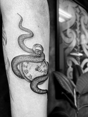 Snake with pocket watch 