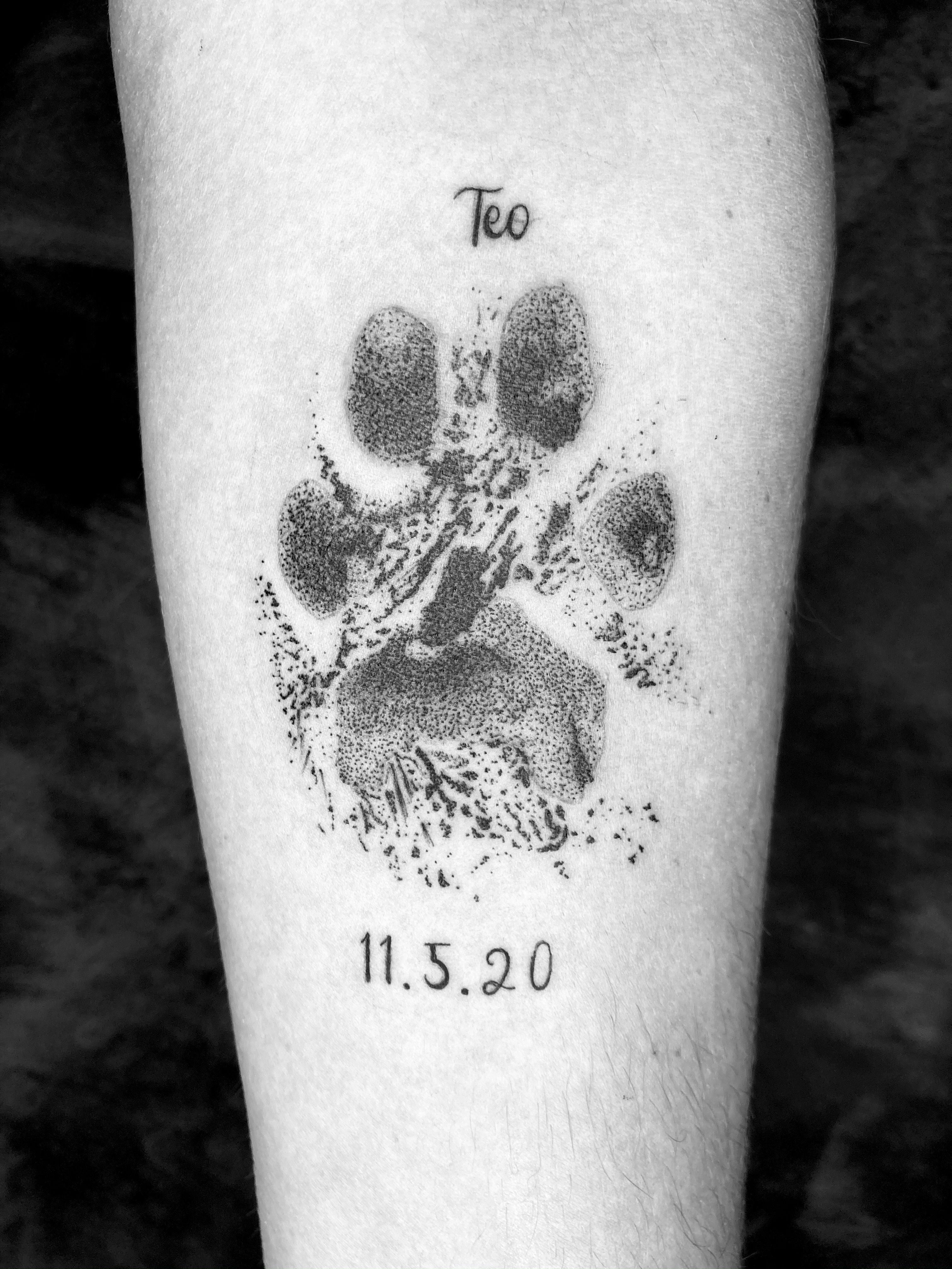 Heartbeat With Paw Print Temporary Tattoo Tiny Heart  Etsy Canada