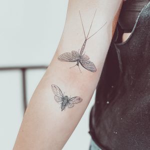 Insetos tattoo