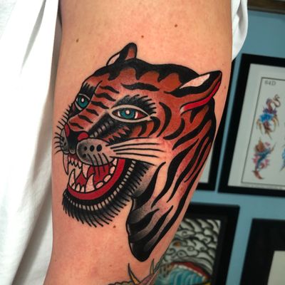 Tiger reference by BERT GRIMM. Done at SKULL SOCIETY TATTOO SHOP 