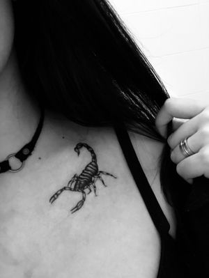 Scorpion.🦂