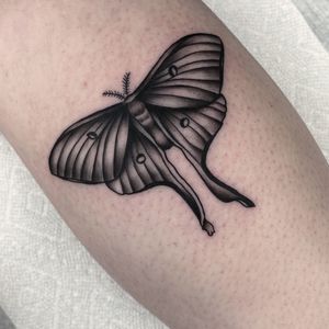 Get inked with a stunning blackwork butterfly design on your forearm by the talented artist, Miss Vampira. A perfect blend of neo-traditional and illustrative styles.