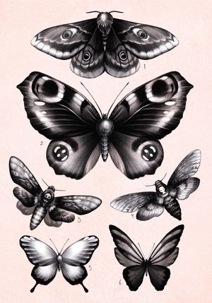 Available designs with moths and butterflies!