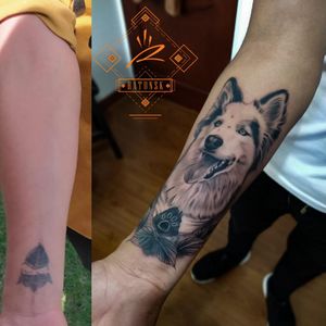 Cover up tattoo Realismo sombras de "Tami" Ratonsk 2021 Citas al wp 3135381364 #blacktattoo #blackworktattoo #shadowtattoo #pettattoo #pet #animaltattoo #blackandgreytattoo #ratonsk #boyacatattoo #sogamosotattoo #realistictattoo #husky #huskytattoo