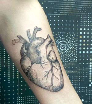 Anatomy. Heart. Graphics.