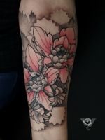 Japanese inspired peonies in limited palette #blackwork #peony #peonies #flower #flowers #floral #redink #jaoanese #color #red #blackandgrey #neotraditional #neotrad #illustrative #tattoosforwomen