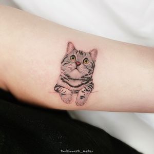 ［ Pet Tattoo American Shorthair ］#pet #cattattoo #smalltattoos #girl #cutetattoos #taichung #taiwan #cat #AmericanShorthair