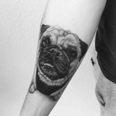 Cody 🐶 . . . #tattooed #inked #art #artist #tattooartist #budapest #budapesttattoo #bp #hungary #hungariantattoo #dog #dogtattoo #cody #minimaltattoo #bnw #blackandwhite #europe #travel #photo #photography #inkedmag #tattooedmag #inkjunkeyz #tattoomachine 