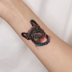 ［ Pet Tattoo Bulldog Woody🐾］ #pettattoo #Bulldog #dogtattoo #girl #cutetattoos #colortattoo #smalltattoos #dog #pet