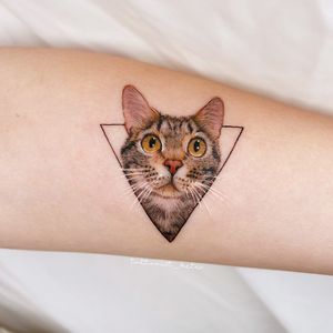 ［ Pet Tattoo tiger cat ］#pettattoo #cattattoo #smalltattoos #girl #cutetattoos #taichung #taiwan #cat 