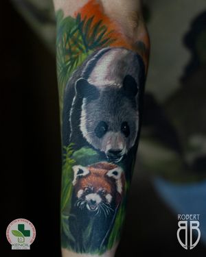 Panda and red panda in the jungle, part of sleeve