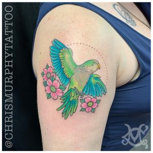 Parakeet with Flower Blossoms