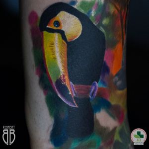 Tucan tattoo, part of sleeve 