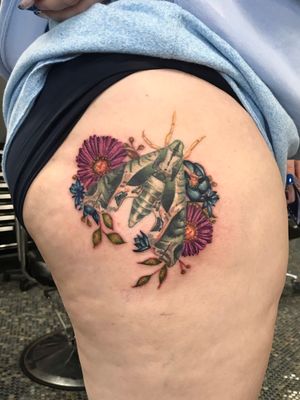 Moth and floral (moth healed the flowers are fresh) 