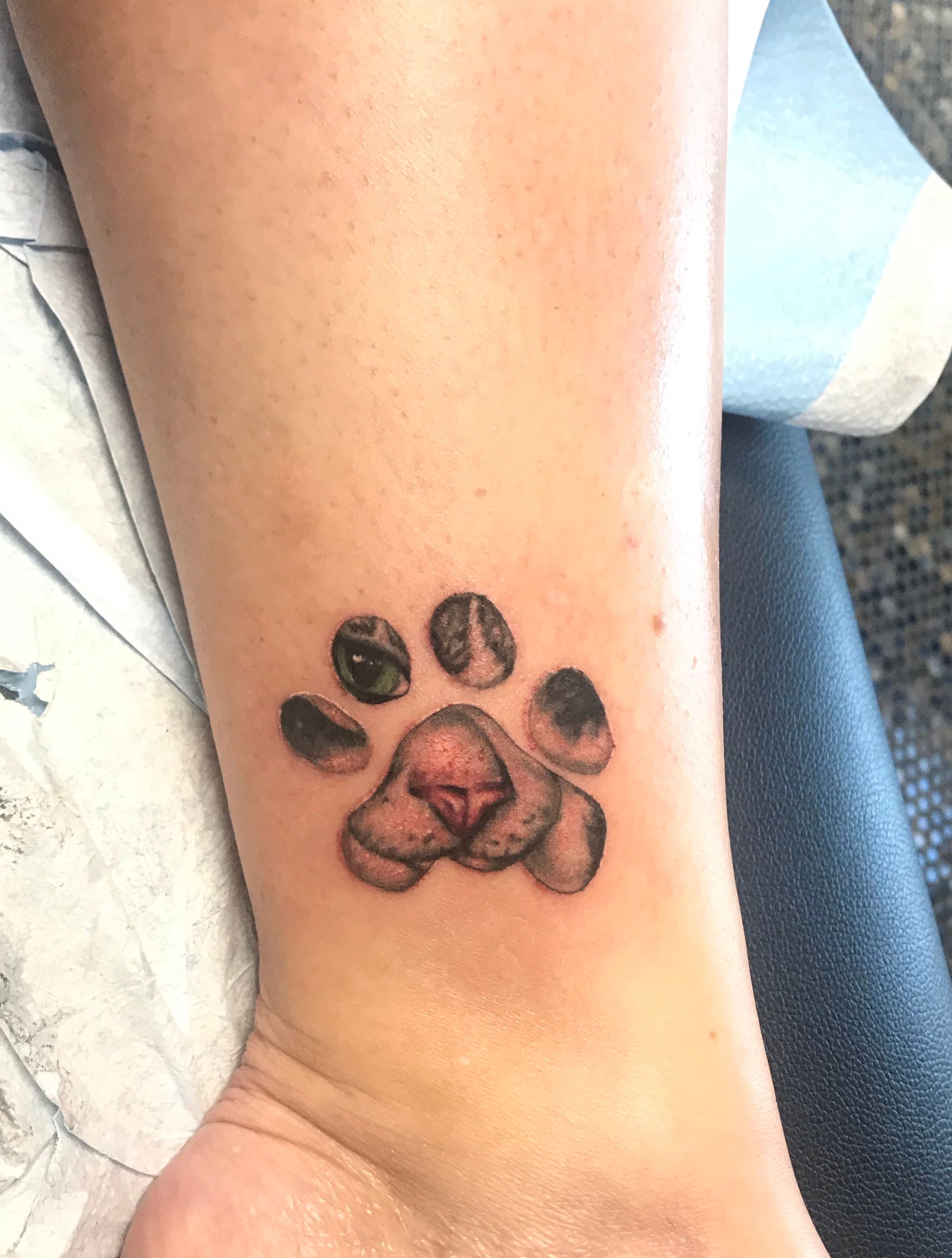 Got my 6th tattoo today of my cat's paw print with a bi themed watercolor  splash behind it! I love it! : r/bodymods