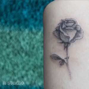 Dotwork rose tattoo 