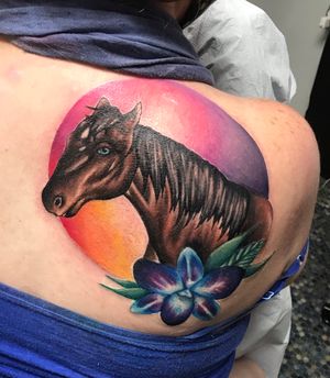 Horse cover up piece 