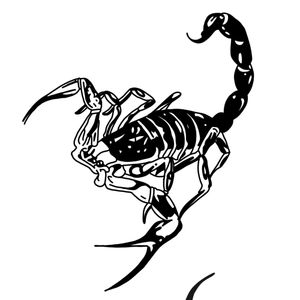 Scorpion flash black work design 