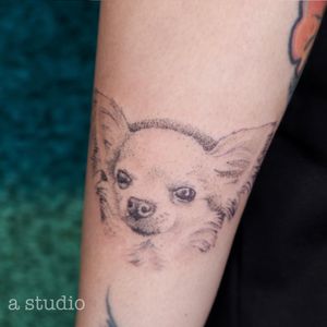 Fendi the chihuahua dotwork tattoo 
