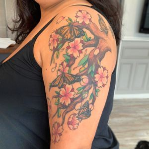 Healed monarch butterflies with cherry blossom tree