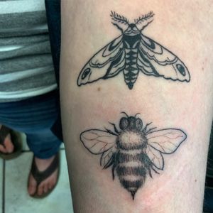 Healed moth design and fresh bee