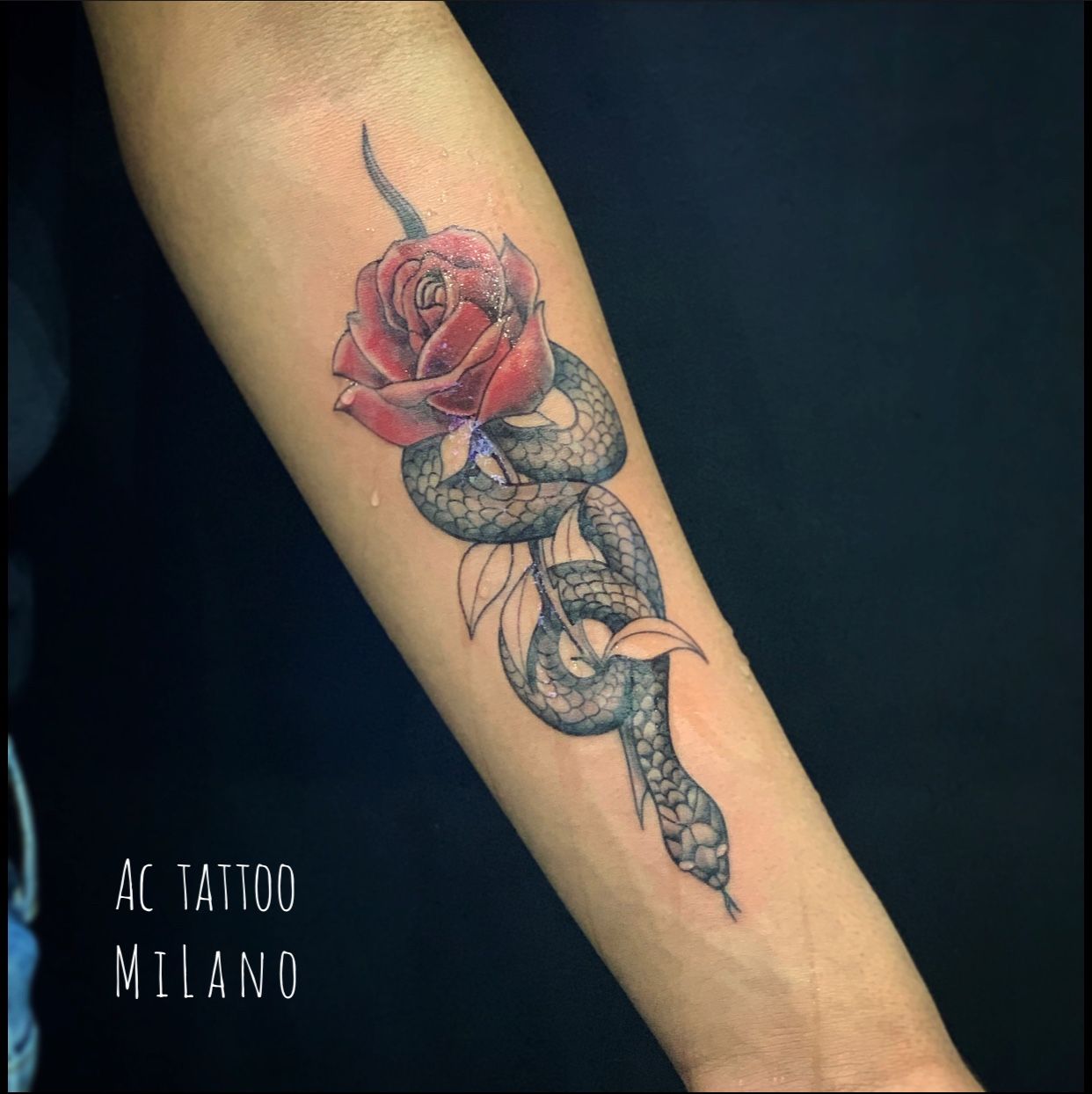 Tattoo uploaded by AC tattoo milano • Tattoodo