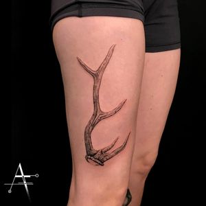 🦌 . For custom designs and booking; alperfiratli@gmail.com . . . . . #antlers #realistictattoo #realistic #antler #deerantlers #tattoo #tattooartist #tattooidea #antlerart #deerdrawing #inked #customtattoo #tattooist #deerantler #animaltattoo #surreal #realisticart #antlertattoo #realisticdrawing #horns #horn #stag #deertattoo #naturetattoo #nature #deerofinstagram