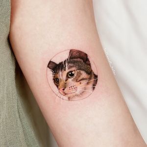 ［ Pet Tattoo 虎斑蛋白 ］ . . . . #pet #cat #smalltattoos #girl #cutetattoos #taichung #taiwan #ink 