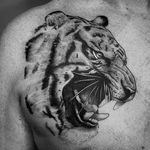 When a dolphins becomes a tiger 🐅 #coverup