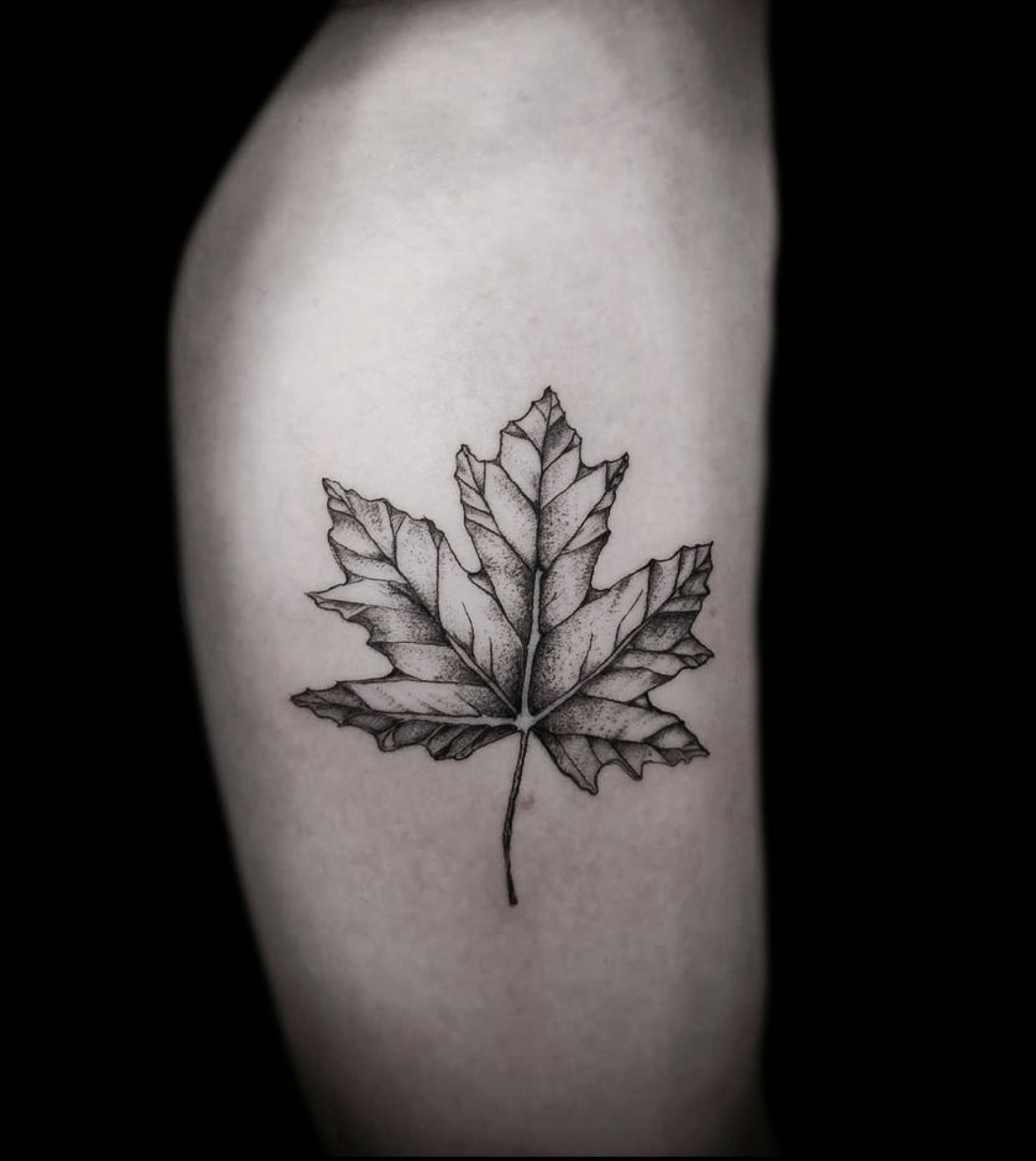 Maple leaf tattoo by Andrea Morales | Photo 26814