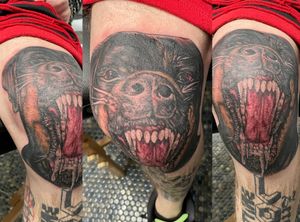 Rottweiler kneecap tattoo