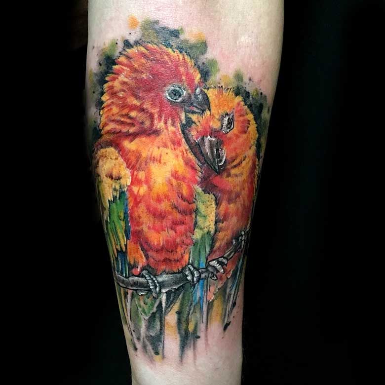 New tattoo 😍 : r/Conures