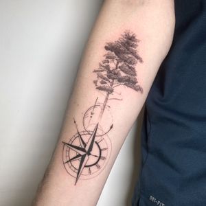 Tree compass piece,