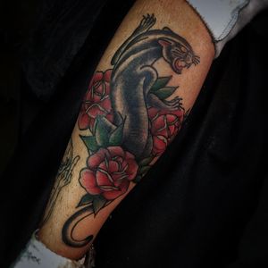 Traditional Panther (Coverup)