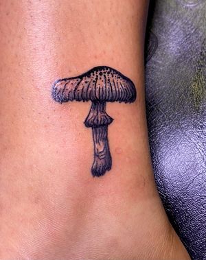 Mushroom from my flash sheet on the ankle