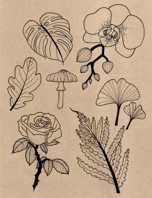 Flora and Fungus Flash Sheet