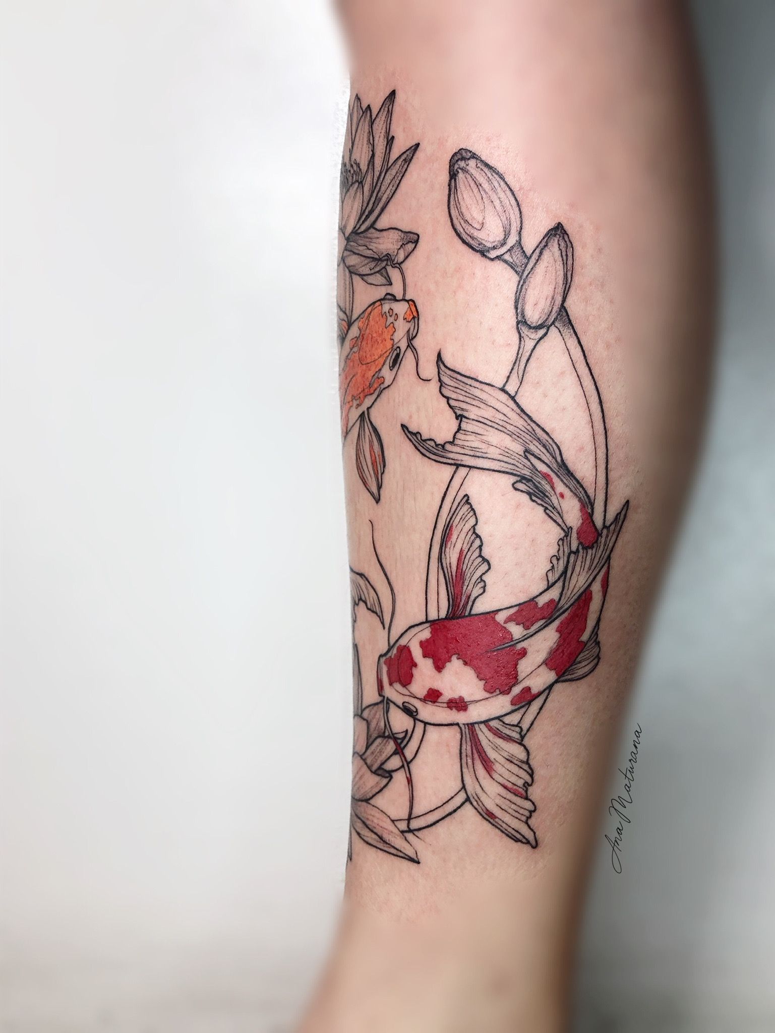 Blue Ink Koi Fish With Flowers Tattoo Design By Joytoy