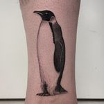 #tattoo #tattoooftheday #tatouage #photooftheday #pinguin #pinguintattoo #pingouin #pingouintattoo #realisticink #realistictattoo #animal #animaltattoo #dot #dotwork #dotworktattoo #petitspoints #lausanne #lausannetattoo #tattoolausanne #fann_ink 