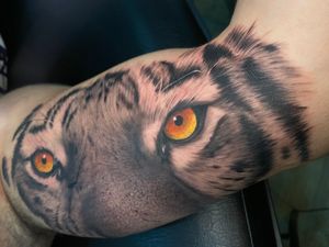 The Eye of the Tiger!! Tattoo by George Tattooist done in São Luís