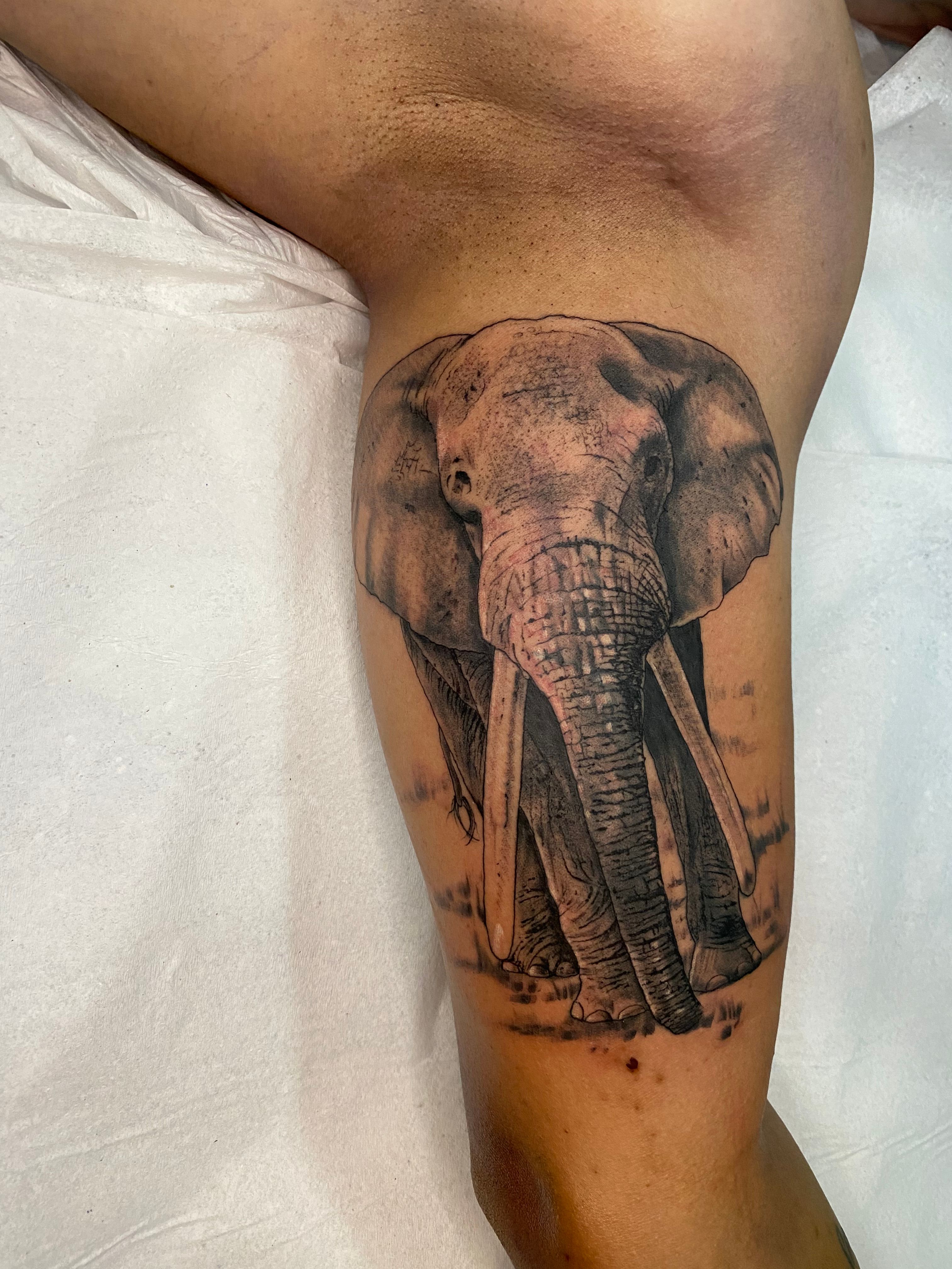 Elephant tattoo | Elephant tattoos, Realistic elephant tattoo, Full sleeve  tattoos