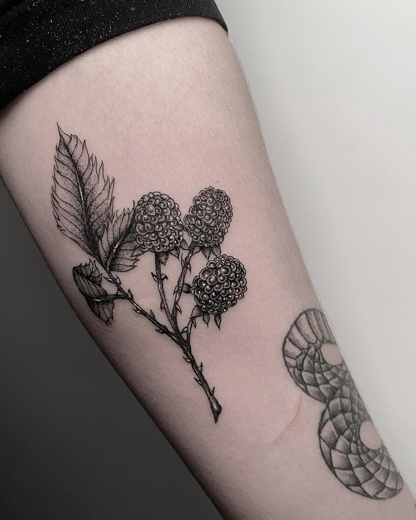Tattoo uploaded by Stacie Mayer • Traditional style blackberry tattoo by  Tan Van Den Broek. #fruit #blackberry #berry #traditional #TanVanDenBroek •  Tattoodo