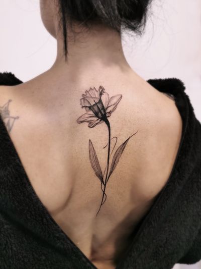X-ray narcissus 🌸 IG: @yleniaattard #xraytattoo #femininetattoo #back #flower