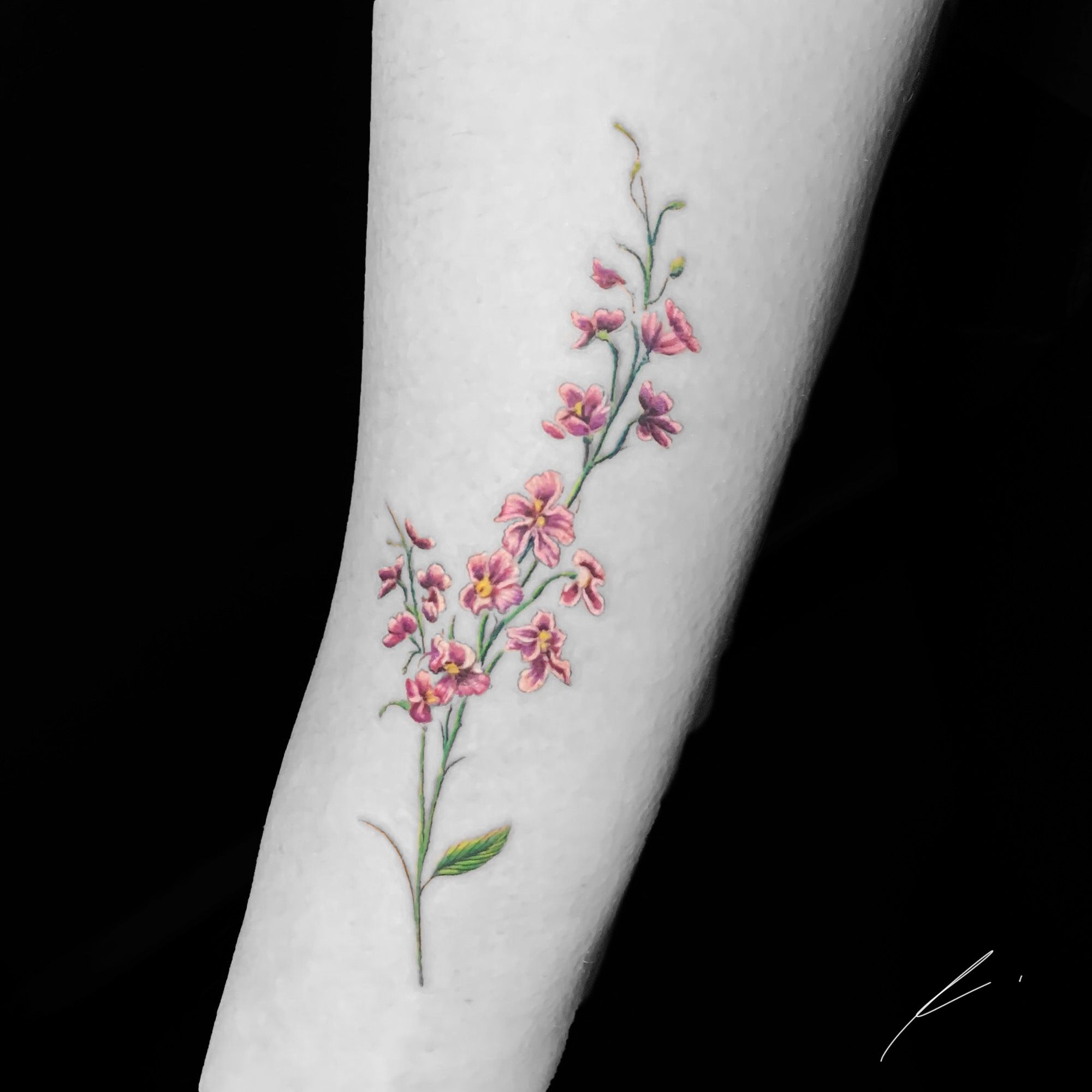 The Meaning Of Larkspur Tattoos A Symbolism Guide