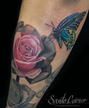Rose and butterfly-Sponsored by:@hellotattoomed@greenhousetattoosuppliesDone using:@killerinktattoo@fusion_ink@fkirons@inkjecta@blackclaw@stencilanchored@inkeeze#tattoo #tattedup #tattooart #tattoostudio #tattoolovers #ink #inklife #inked #tattooartist #londontattooartist #tattooing #tattoolife #tattoosocial #tattoolondon #vegantattoo #veganink #vegan #killerinktattoo  #london #stokenewington #hackney #londontattoostudio #alexalvarado #santocuervo