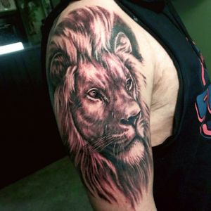 #lion #realism #lionhead #lionmane #blackandgrey #malelion