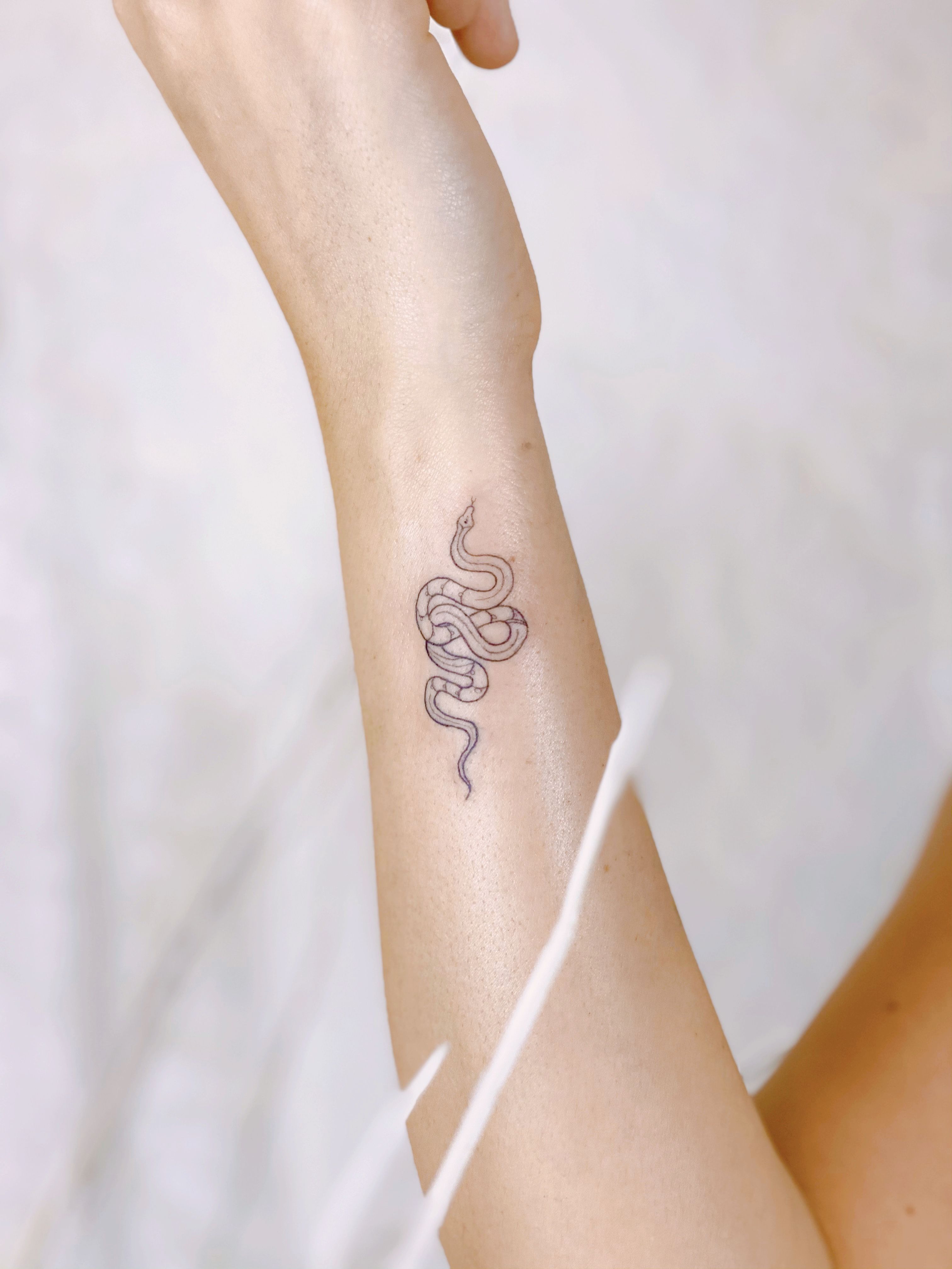 Fine line snake tattoo located on the pelvis