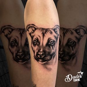 #Nara 🐾Merci Lorenne pour ce projet✨...#tattoo #realistictattoo #dogportrait #dog #blackandgrey #youngtattooartist #swisstattooartist #swisstattoo #swisstattooers #dades #dadesink #urbanprivilege 