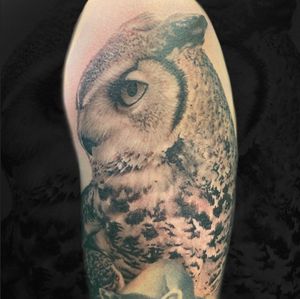 Awesome owl from 2020 