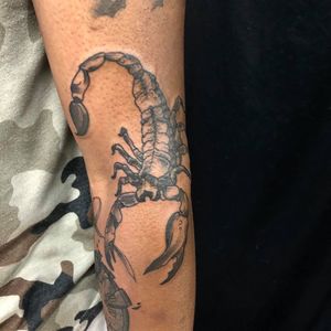Scorpion addition to a sleeve!