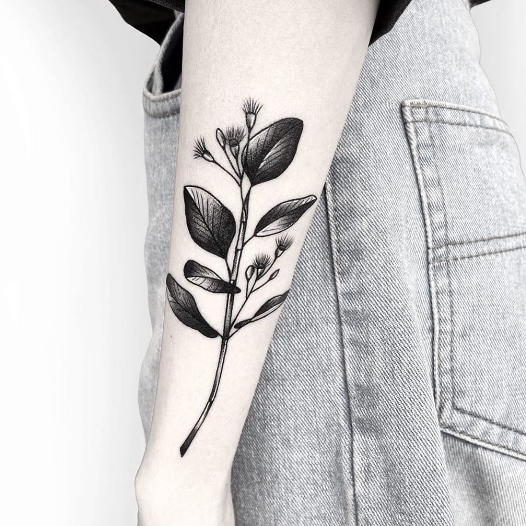 Luna Tattoo - Eucalyptus! Love love love doing leaves! Can... | Facebook